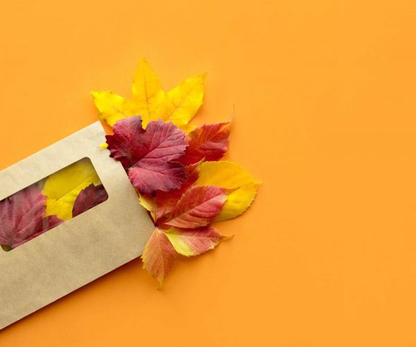 Top view, flat lay autumn fall mockup with craft paper mailing envelope letter and dried orange red leaves. Postcard, card on orange background with copy space.